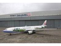 服务春节返乡旅客　国籍航空加班机、增网络订票带宽
