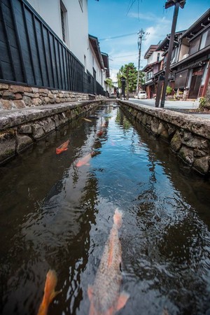 ▲飞?古川白壁土藏街、濑户川。（图／旅。摄。游世界提供）
