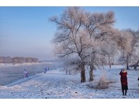 人间仙境在冰雪东北雾淞岛！一生必看的中国四大自然美景