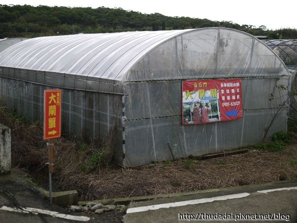 新北市 金石门大闸蟹。（图／三高Sir提供）