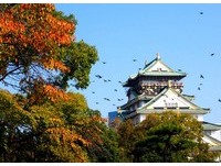 “枫”潮未退　大阪城、万博公园尽显深秋最后一抹艳红