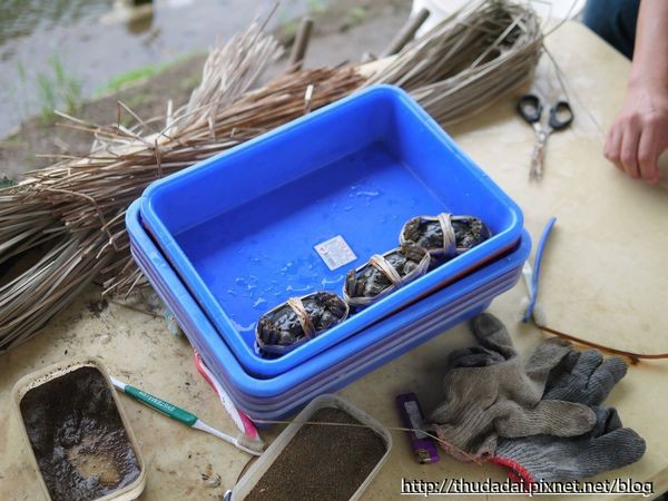 新北市 金石门大闸蟹。（图／三高Sir提供）