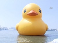 基隆黄色小鸭12月21日开幕　海洋广场前进行交通管制