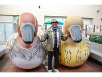 2013华江雁鸭季12月7日登场　2米高小水鸭来助阵