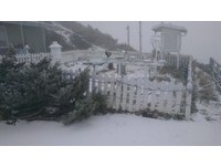 入冬首波寒流报到　游客合欢追雪　玉山积雪3.5公分