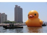 同意出借桃园　2日“高雄版小鸭”陆上先登场