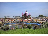各种角度玩转台中　“骑铁马”踏入新社花海游丰原