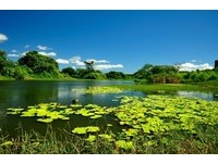 赏鸟新乐园　大汉溪沿岸湿地侯鸟现踪