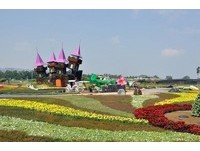 台中花毯节花海美景　美得像是爱丽丝梦游仙境