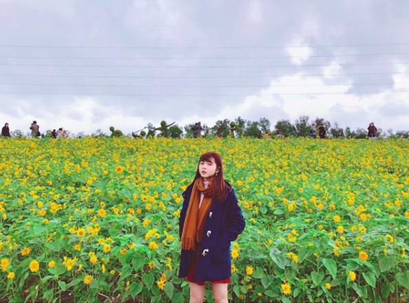 ▲关渡花海（图／网友rube_1102提供，请勿随意翻拍，以免侵权。）