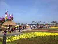 童话故事般的美丽　新社花海花毯节齐登场
