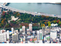 空拍枫红！东京市区夹缝中生长　高楼中红叶探出头来了