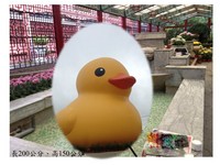 抢搭风潮　士林官邸菊花展以2400朵菊花做成黄色小鸭