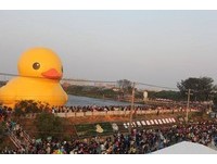 桃园地景艺术节开展2天涌33万人　20万人赏小鸭