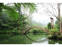 全台最美丽路跑路线　溪头森林游乐区不封园开跑