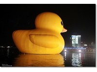 不同的风情　夜晚的黄小鸭水上倒影更迷人