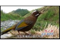 台湾生态电影巡回影展开跑　盼唤起民众自然保育观念
