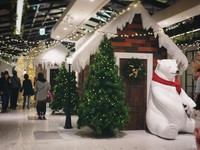 中坜欧风雪景小屋、北极熊超好拍！还能在耶诞树里用餐