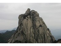 台北国际旅展／安徽省旅游协会组团访东森旅游购物平台