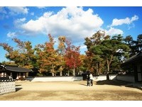 隐藏版赏枫地点　韩宫殿、教堂时空交错好浪漫！