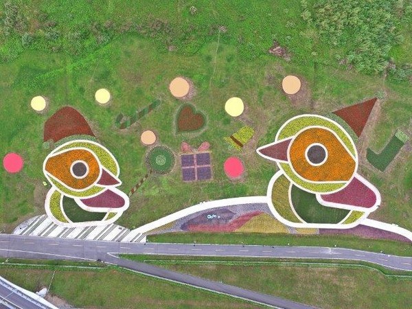 ▲三重河滨鸭鸭地景。（图／新北市政府提供）