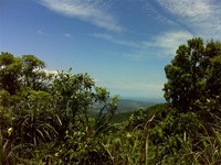 登高赏美景！跟着新北市6条秋季步道走　