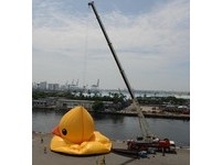 台风来袭　黄色小鸭视天候启动防台机制　泄气上岸避风