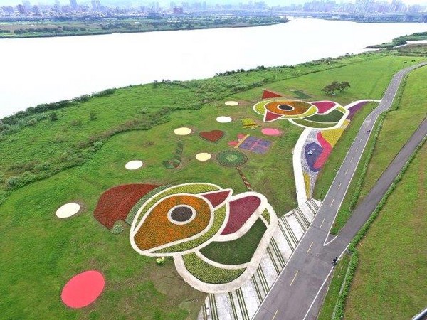 ▲三重河滨鸭鸭地景。（图／新北市政府提供）