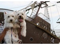 主人带爱犬到广野海岸公园　享受南洋度假风情