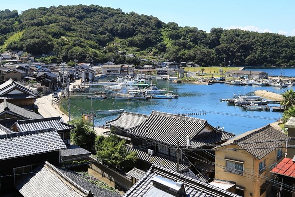 ▲猫奴请留步！冈山寻猫攻略二连发。（图／七逗旅游网、翔笙旅游提供）