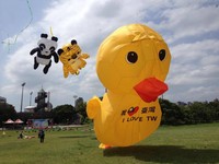 吸睛！黄色小鸭、圆仔巨型风筝飞上天