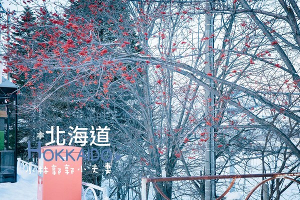 ▲冬天下雪北海道的不开车自由行。（图／小林&郭郭的小夫妻生活提供）