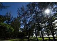 丽星邮轮婆罗洲全新航线　领略景点“砂劳越”