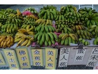 想当道地旗山人　车子后要载一堆香蕉？