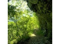 快讯／因应潭美台风海上警报　太鲁阁生态保护区封闭