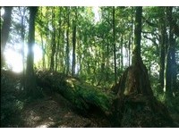 潭美走了！全台风景区最新情况报你知