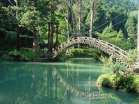 溪头私密景点　“玻璃城堡”藏身森林园区
