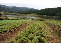 《总铺师》秘景再曝光　宜兰双连埤湖光山色好美