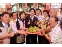 台南麻豆文旦节24日登场　周末柚城品果乐逍遥