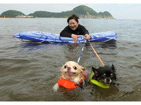 专属狗狗的海滩！日本竹野海岸每年夏天开放人狗同游