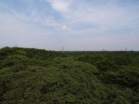 走访经典名作《龙猫》之旅　等不到龙猫巴士的龙猫车站