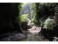 闯入精灵居住的“绿光峡谷”　得子口溪秘境