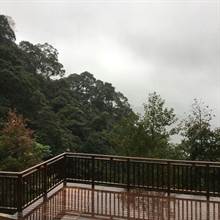 新店社区冬小旅！候鸟、蝴蝶来报到！景观平台眺美景
