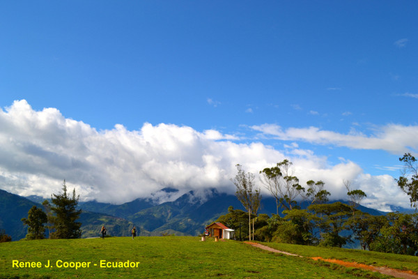 ▲%级蚬隙喽?La Casa del Arbol秋千树屋。（图／REN&Eacute;E J.COOPER提供，请勿任意翻摄以免侵权）http://vamossunshine.com/zh/