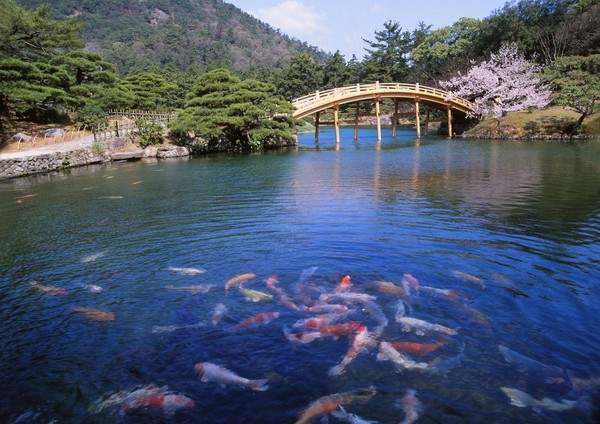 ▲日本四国山阴山阳。（图／七逗旅游网）