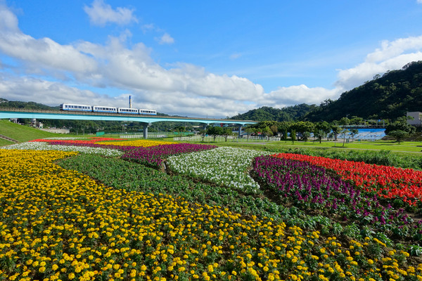 ▲道南河滨花海。（图／台北市政府提供）