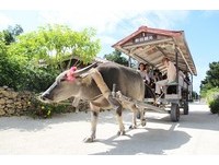 中秋节包机去海岛度假　一小时内抵达石垣岛三大度假村