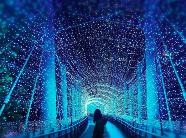 ▲新北耶诞城灯海。（图／网友提供，请勿随意翻拍，以免侵权。）