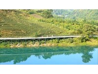 坪林夏日午后草地音乐会　邀民众上山听歌、避暑