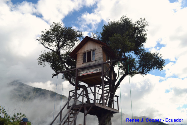 ▲%级蚬隙喽?La Casa del Arbol秋千树屋。（图／REN&Eacute;E J.COOPER提供，请勿任意翻摄以免侵权）http://vamossunshine.com/zh/